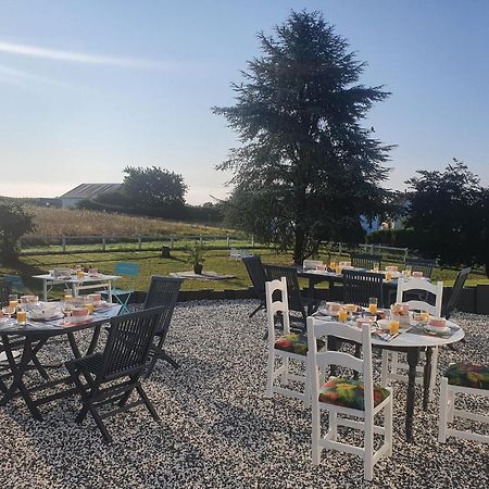 Bed and Breakfast La Veuzaine à Onzain Extérieur photo