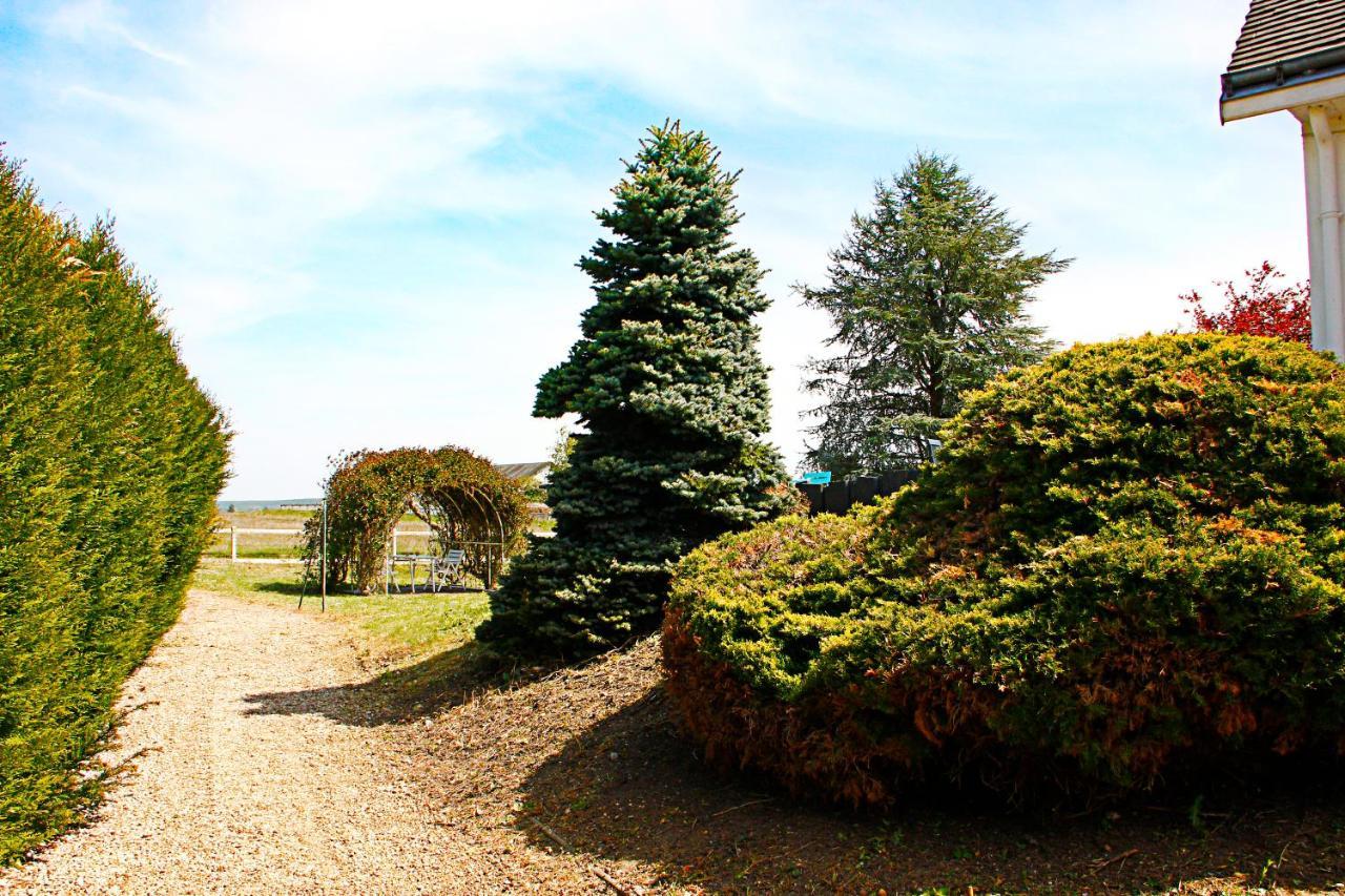 Bed and Breakfast La Veuzaine à Onzain Extérieur photo