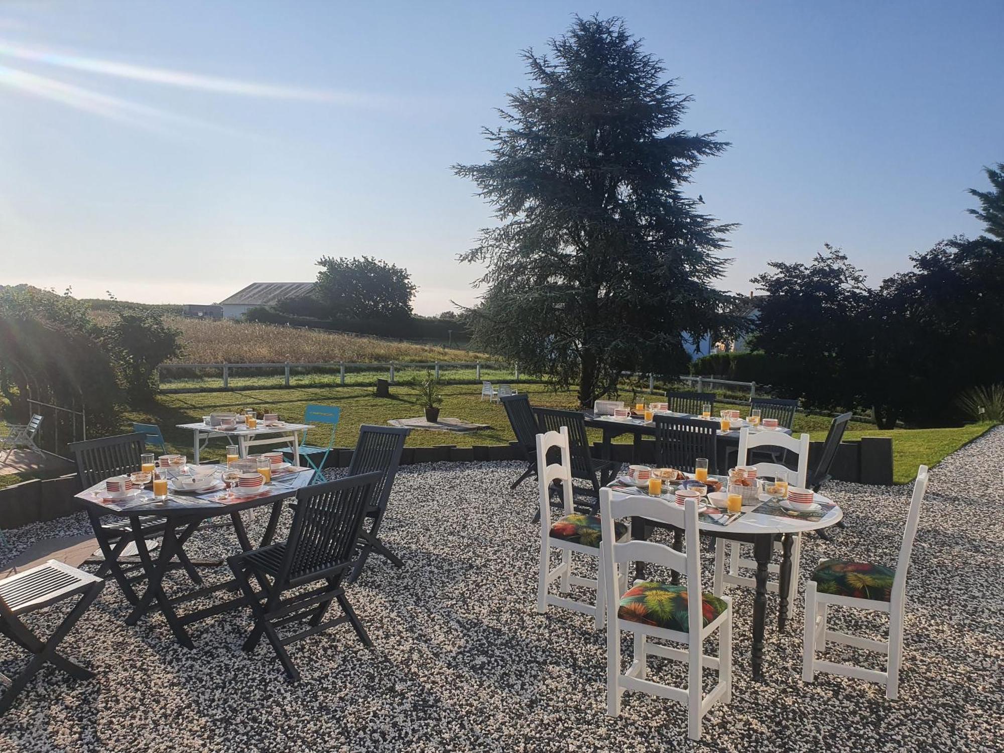 Bed and Breakfast La Veuzaine à Onzain Extérieur photo